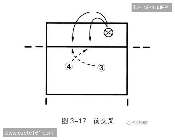 上海排球队快攻战术解析与深度剖析助力球队夺冠之路