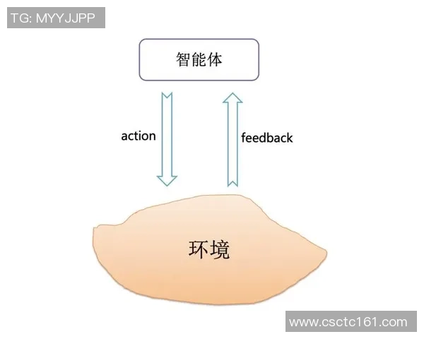 上海排球队的转型之路与未来发展趋势深度解析